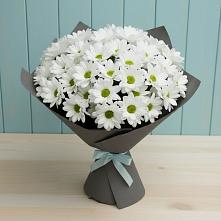Букет цветов из:  Хризантемы #REPLACE_PRED# Томаровке
