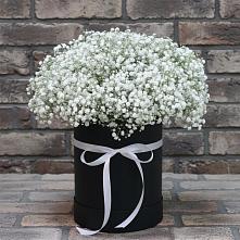 Цветочная композиция из Гипсофила в шляпной коробке в Томаровке