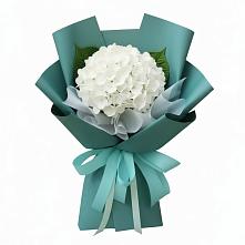 Букет цветов из:  Гортензия в Томаровке
